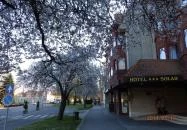 Hotel Solar Nagyatád