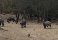 Medves Vendégház Salgótarján