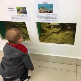 Tisza-tavi Ökocentrum Poroszló - Egyéb