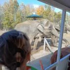 Richter Safari Park Nagykőrös - Egyéb