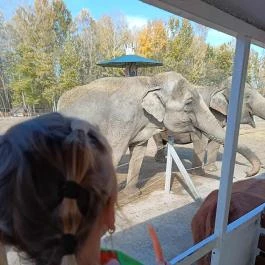 Richter Safari Park, Nagykőrös - Egyéb