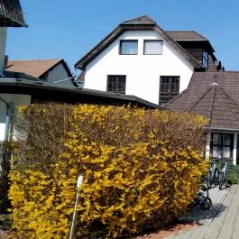 Hotel Piroska, Bük, Bükfürd? - Külső kép