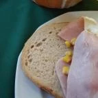 Borostyánkert Panzió Sitke - Vendéglátás