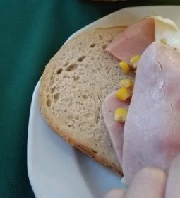 Borostyánkert Panzió