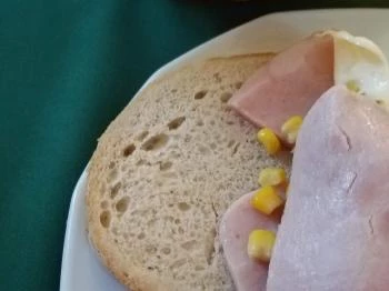 Borostyánkert Panzió Sitke