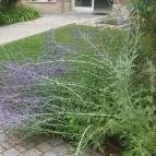 Royal Club Hotel Visegrád - Környék