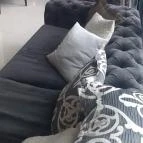 Hotel Füred Spa & Conference Balatonfüred - Belső