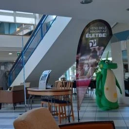 Hotel Marina Balatonfüred - Egyéb