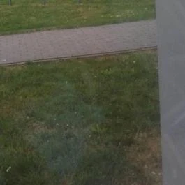 Castrum Termálpanzió & Kemping, Lenti - Környék