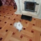 Fried Kastély Hotel Simontornya - Belső