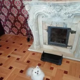 Fried Kastély Hotel Simontornya - Belső