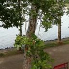 Hotel Anna Villa Balatonföldvár - Egyéb