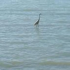 Hotel Anna Villa Balatonföldvár - Egyéb