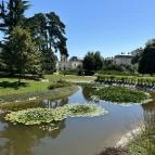 Festetics-kastély Keszthely - Egyéb