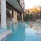 Ensana Thermal Sárvár Sárvár - Medence/kert