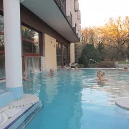 Ensana Thermal Sárvár, Sárvár - Medence/kert