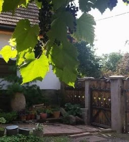 Édes Otthon Vendégasztal