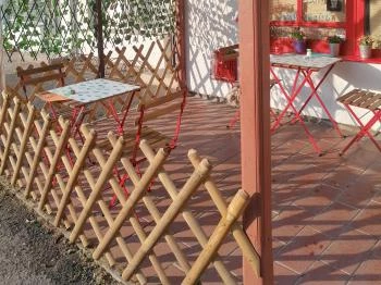 Kaktusz Faloda Monor