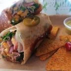 Kaktusz Faloda Monor - Egyéb