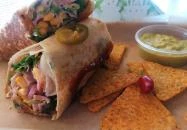 Kaktusz Faloda Monor