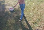 Kőröshegyi Levendulás Kőröshegy