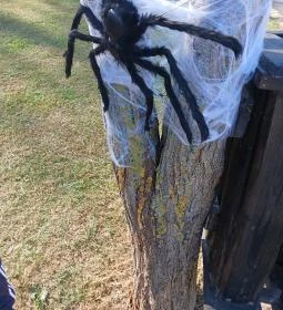 Kőröshegyi Levendulás