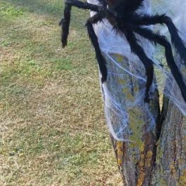 Kőröshegyi Levendulás, Kőröshegy - Egyéb