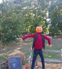 Kőröshegyi Levendulás