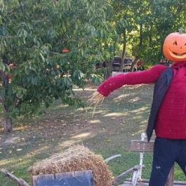 Kőröshegyi Levendulás, Kőröshegy - Egyéb