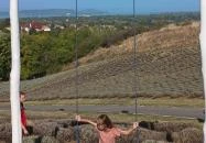 Kőröshegyi Levendulás Kőröshegy