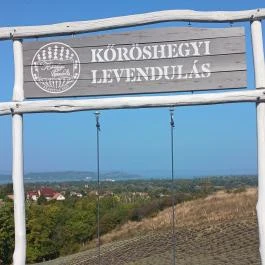 Kőröshegyi Levendulás Kőröshegy - Egyéb