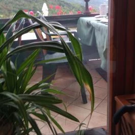 Hotel Silvanus Panoráma Étterem, Visegrád - Külső kép