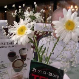 Hotel Silvanus Panoráma Étterem, Visegrád - Egyéb