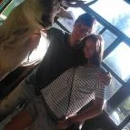 Arany Apartmanházak Zalakaros - Egyéb