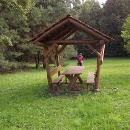 Gólyahír Vendégház, Ôriszentpéter - Környék