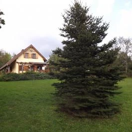 Gólyahír Vendégház, Ôriszentpéter - Külső kép