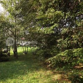 Gólyahír Vendégház, Ôriszentpéter - Környék