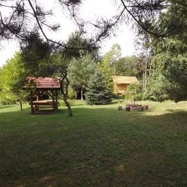 Gólyahír Vendégház, Ôriszentpéter - Medence/kert