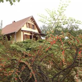 Gólyahír Vendégház, Ôriszentpéter - Medence/kert