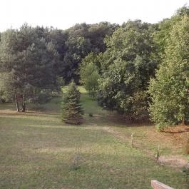 Gólyahír Vendégház, Ôriszentpéter - Medence/kert