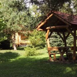 Gólyahír Vendégház, Ôriszentpéter - Medence/kert