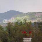 Hotel Bellevue Esztergom - Környék