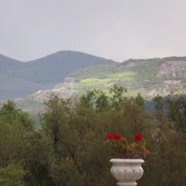 Hotel Bellevue Esztergom - Környék