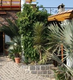 Egzotikus Kert Apartmanház 