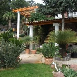 Egzotikus Kert Apartmanház Balatonalmádi - Medence/kert