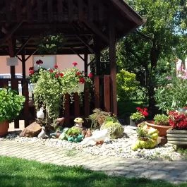 Winkler Ház Balatonőszöd - Medence/kert