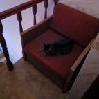 Illés Panzió Szeged - Egyéb