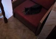 Illés Panzió Szeged