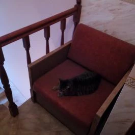 Illés Panzió, Szeged - Egyéb