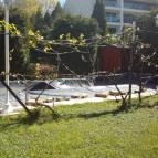 Illés Panzió Szeged - Medence/kert